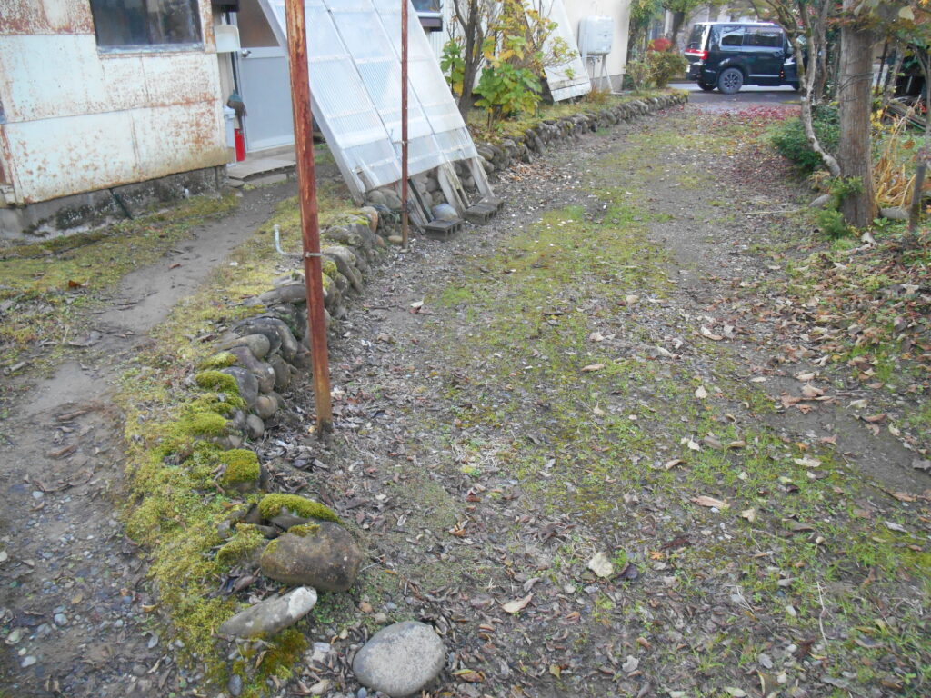 DSCN4533-scaled.jpg